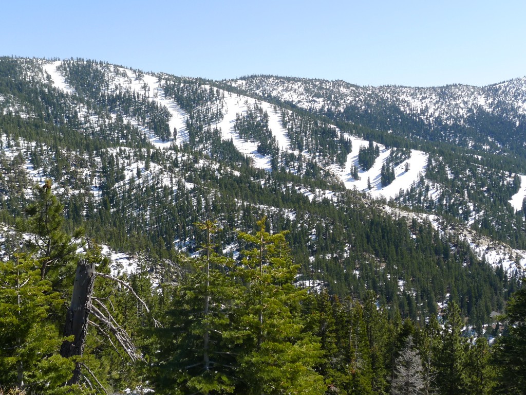 Diamond Peak Upper Mountain - March 2014