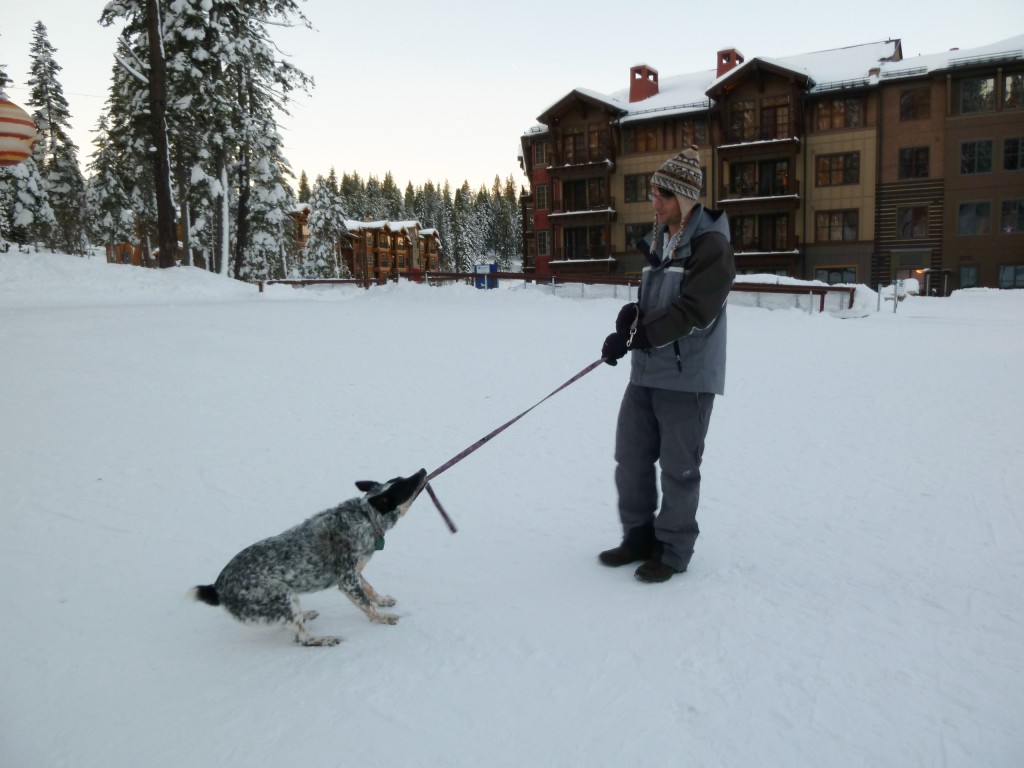 Northstar Village with Pippin, January 2011