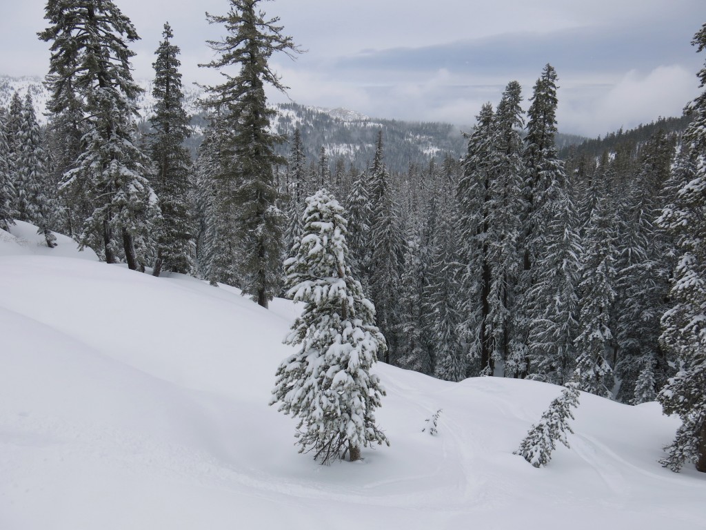 Lower Huckleberry Bowl, Sierra at Tahoe, January 2016