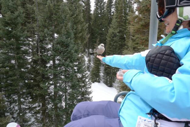 Purgatory Review - Ski North America&rsquo;s Best 100 Resorts