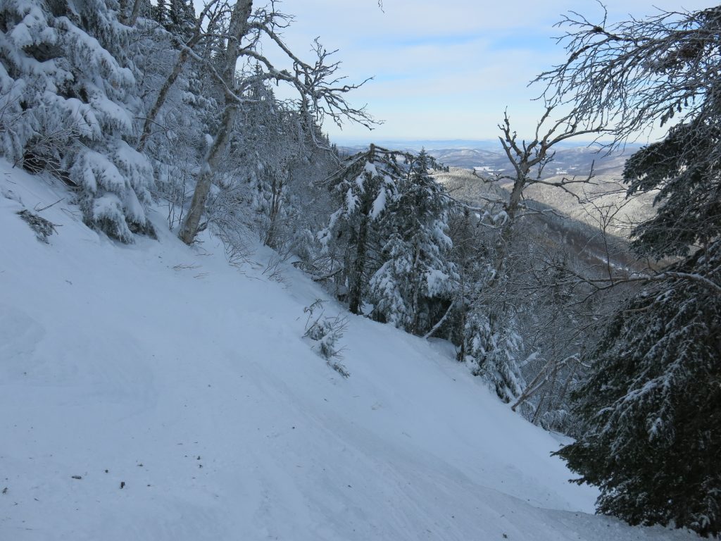 Steep tree skiing at Mad River Glen, January 2019