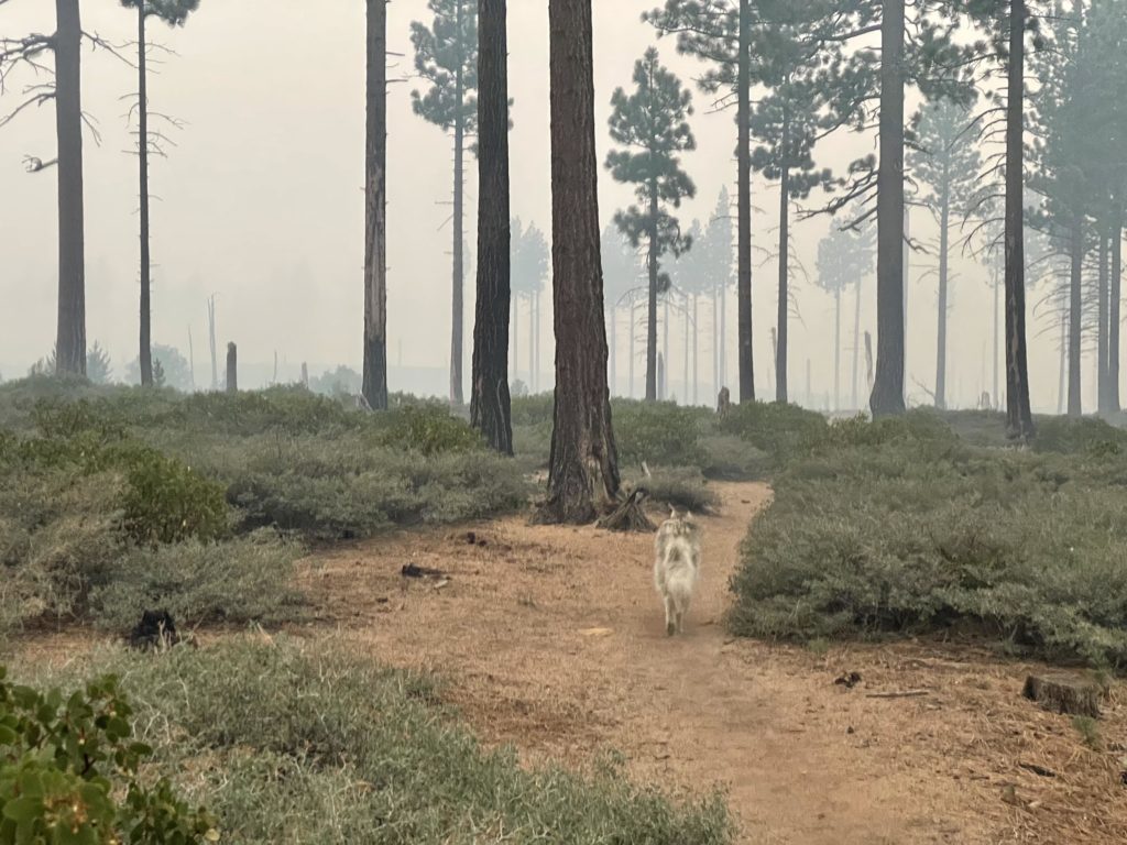 Smoke from the Caldor Fire, August 2021