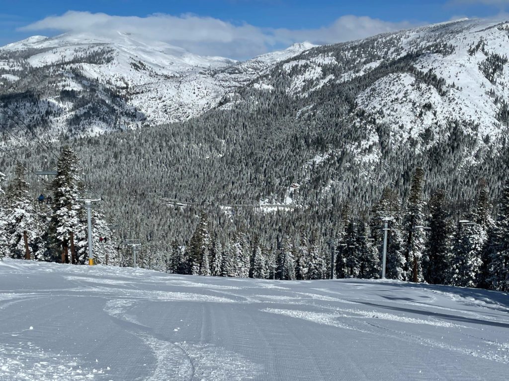Dogwood in West Bowl at Sierra-at-Tahoe, February 2021