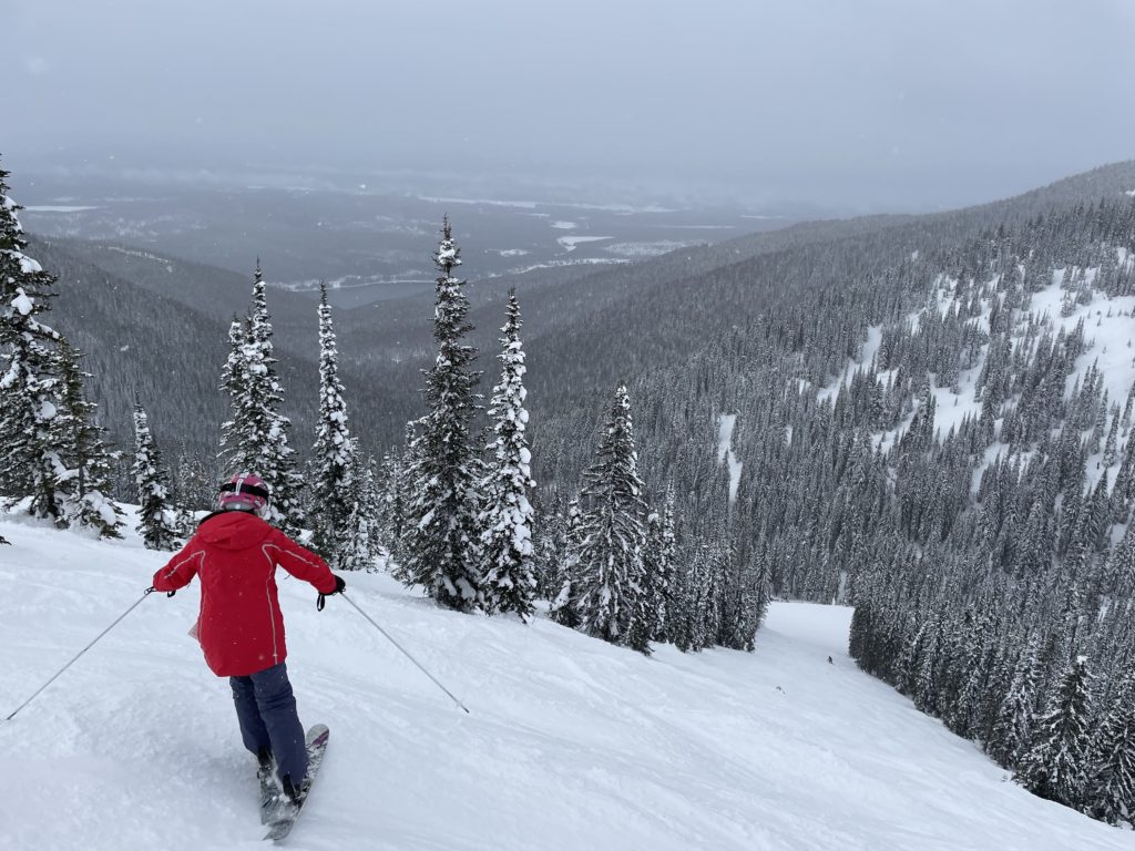 Terrain off the Hellroaring chair at Whitefish, January 2022