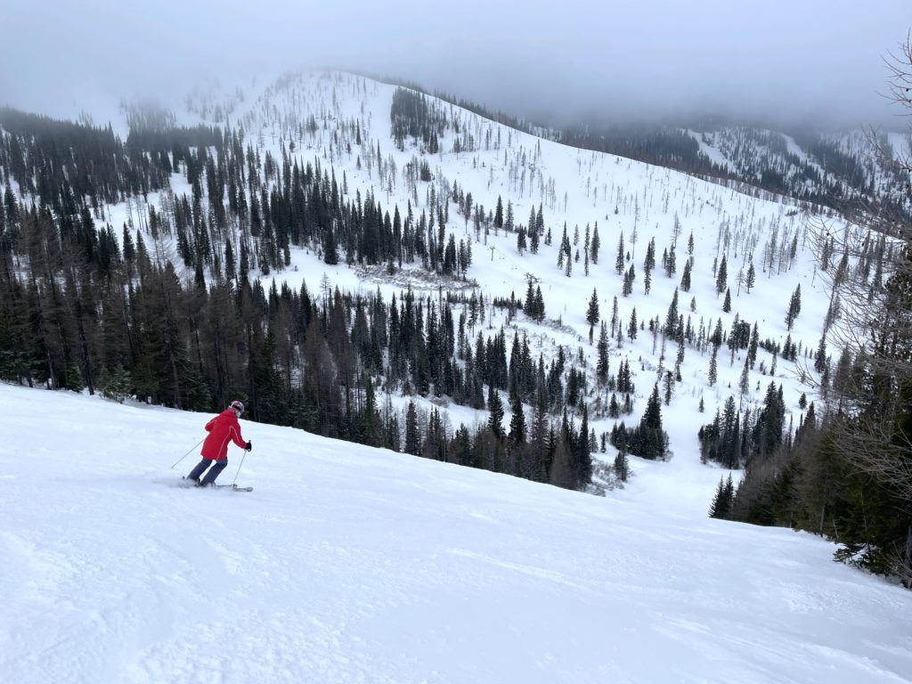 Widely spaced glades seen across from "Revenge" at Schweitzer, January 2022