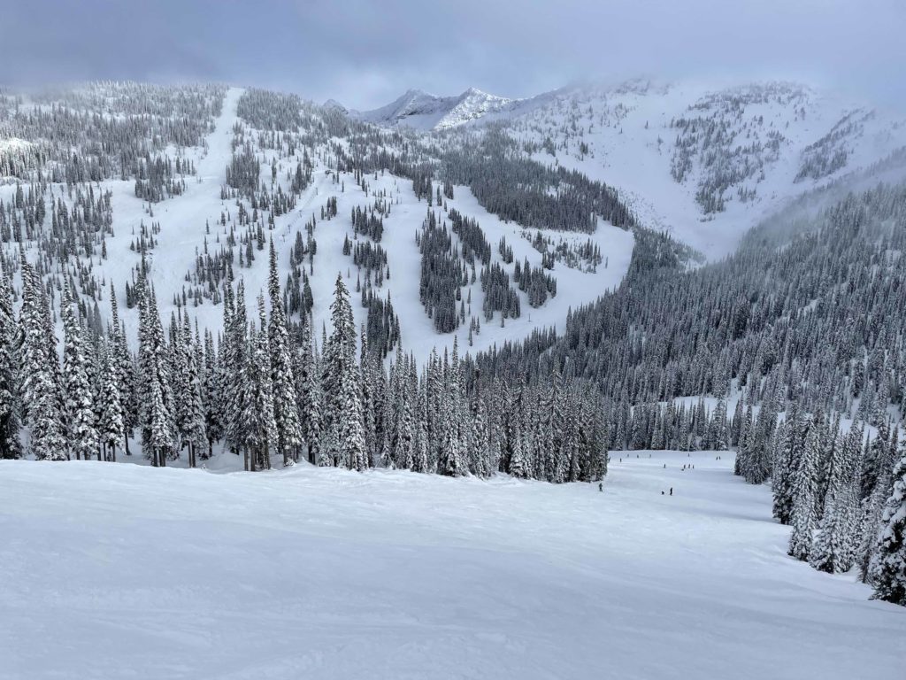 View of the Silver King chair at Whitewater, BC, including the newly cut lift line for 23/24 - January 2023
