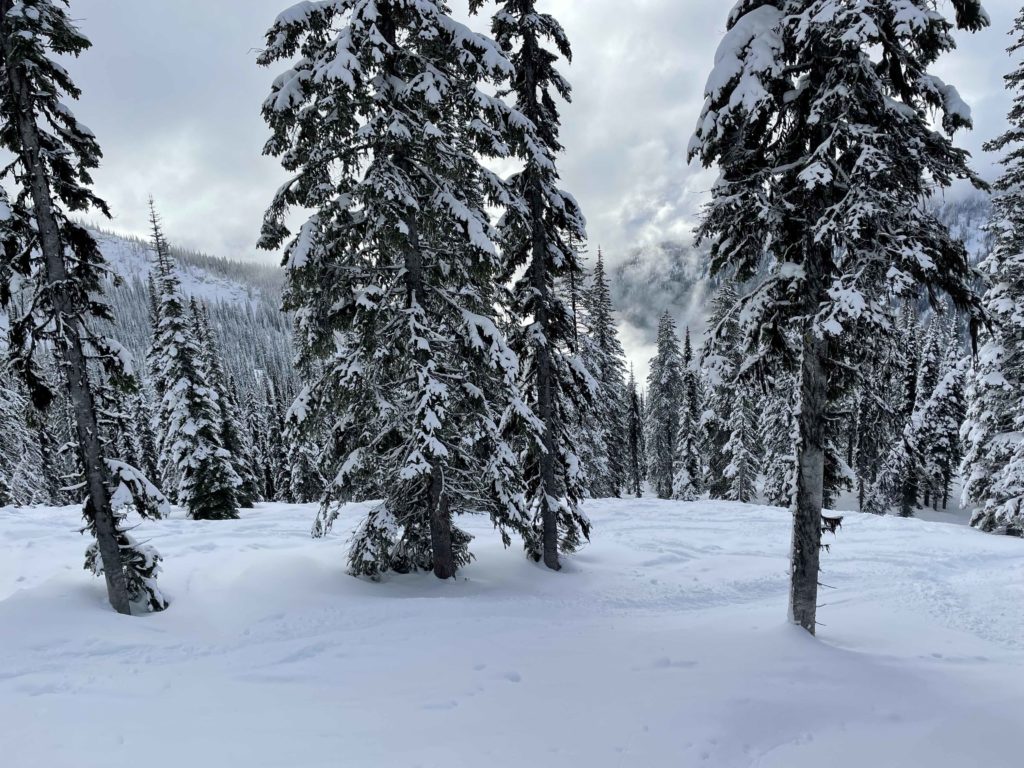 Still powder to be found days after a storm at Whitewater, BC - January 2023