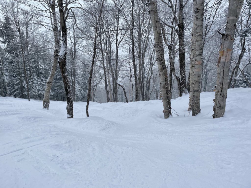 Red Fox Glades at Smugglers' Notch, March 2023