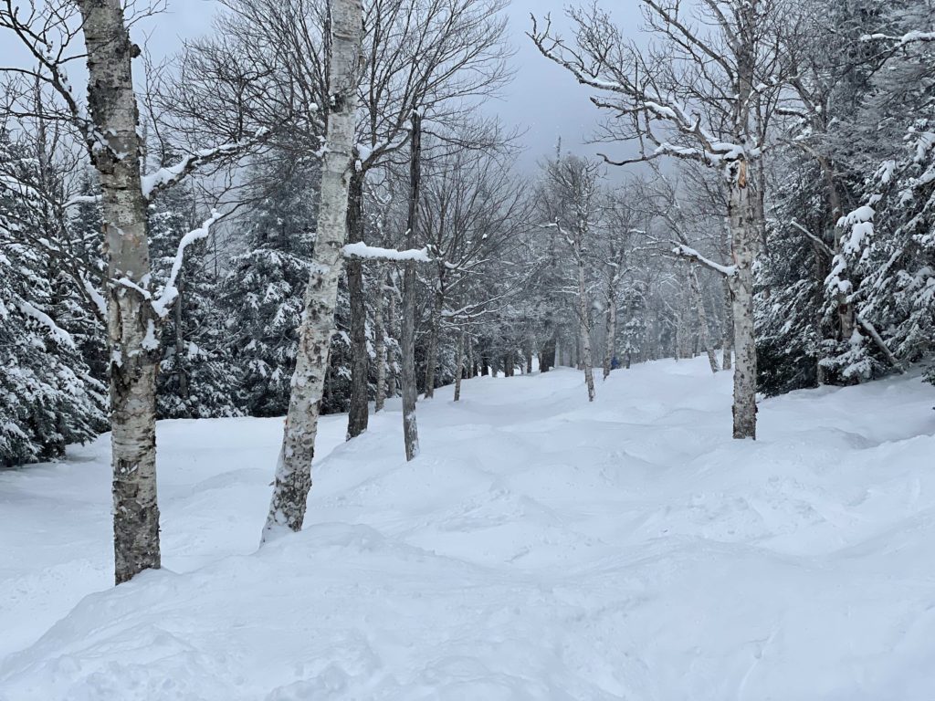 Doc Dempsey's Glades at Smugglers' Notch, March 2023