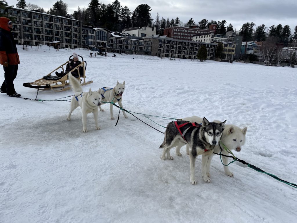 Sled dog rides at Lake Placid - March 2023