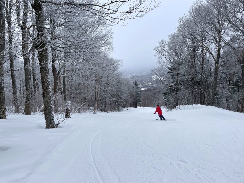 Pleasant groomer winding through the trees at Pico, March 2023