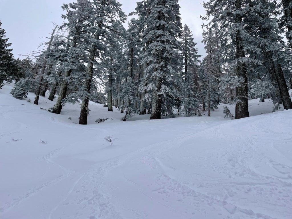 Short steeper drops in Solitude Canyon at Diamond Peak, March 2024