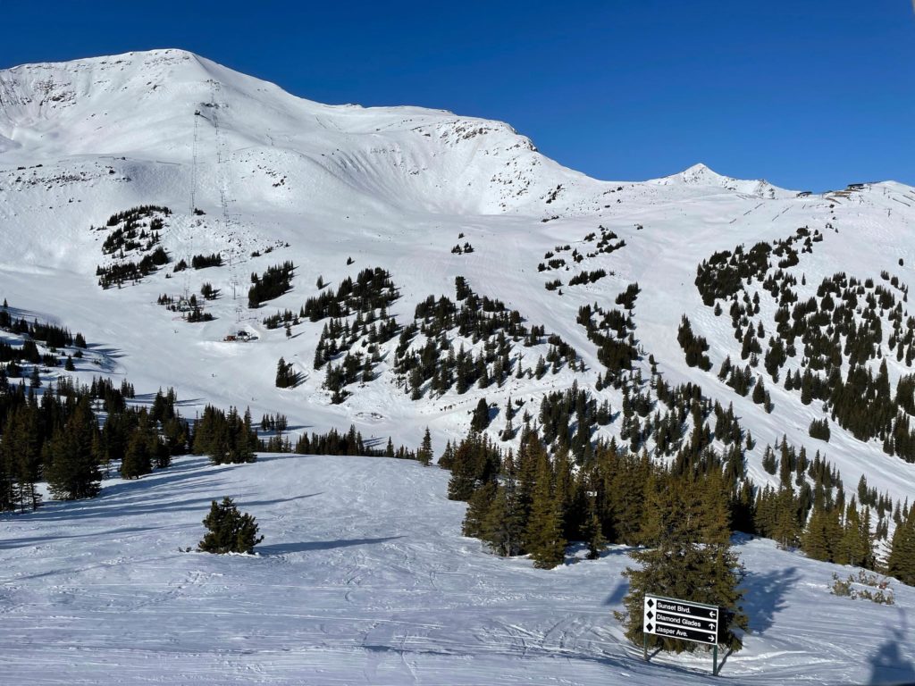 View of the upper mountain at Marmot from Eagle Ridge, March 2024