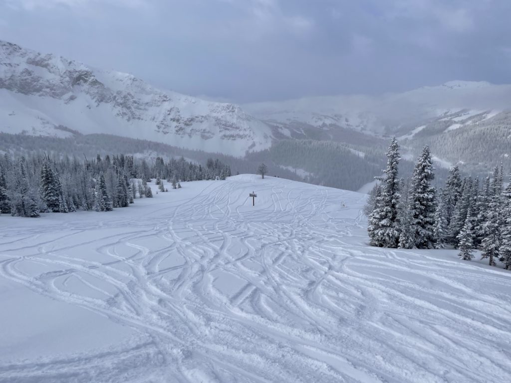 Powder on Goats Eye Mountain at Banff Sunshine Village, March 2024