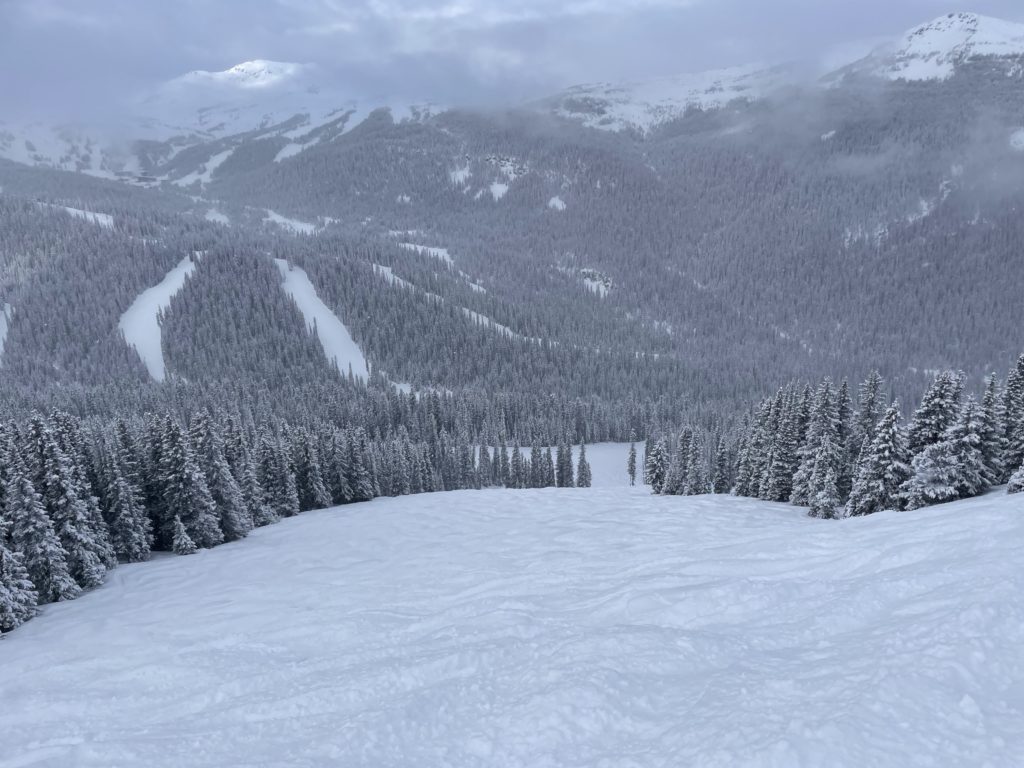 Bumps on Goats Eye at Banff Sunshine Village, March 2024