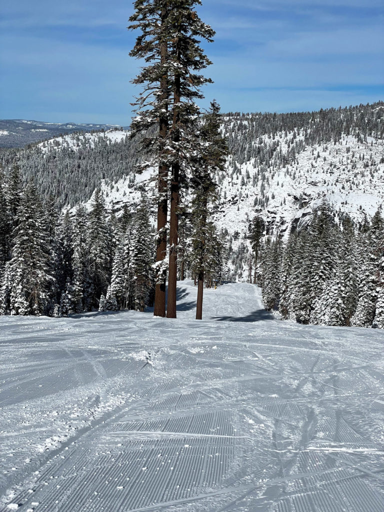 Soft snow at Dodge Ridge, January 2025