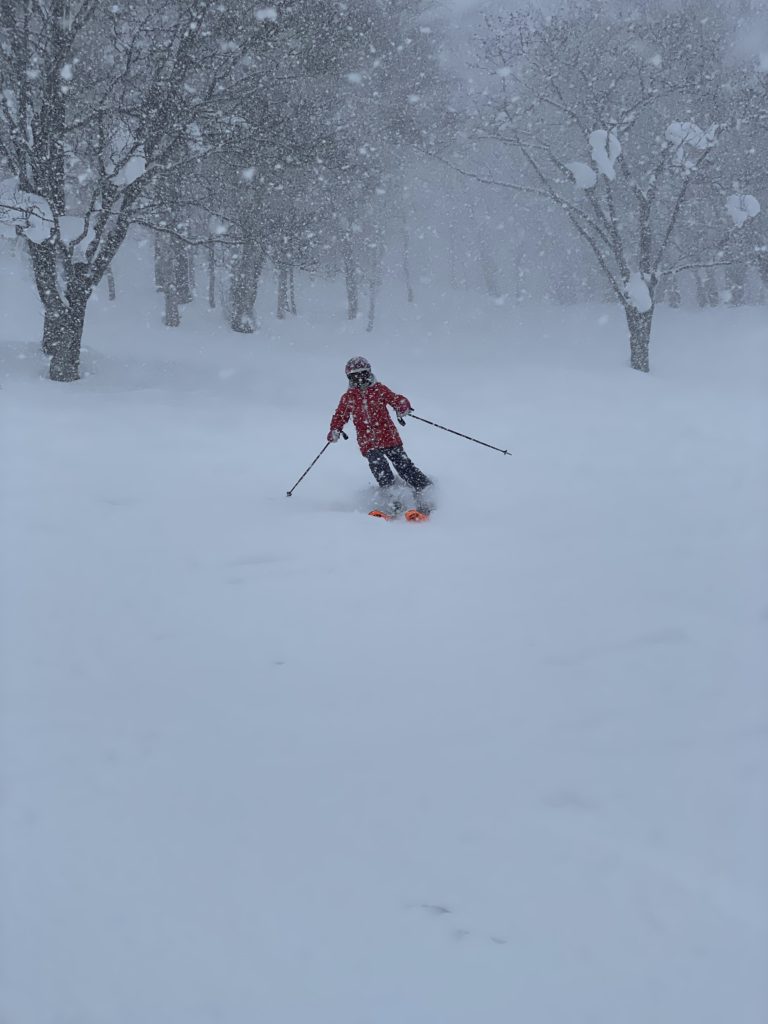 Soft skiing in a snow squall at Hanazono Niseko resort, February 2025