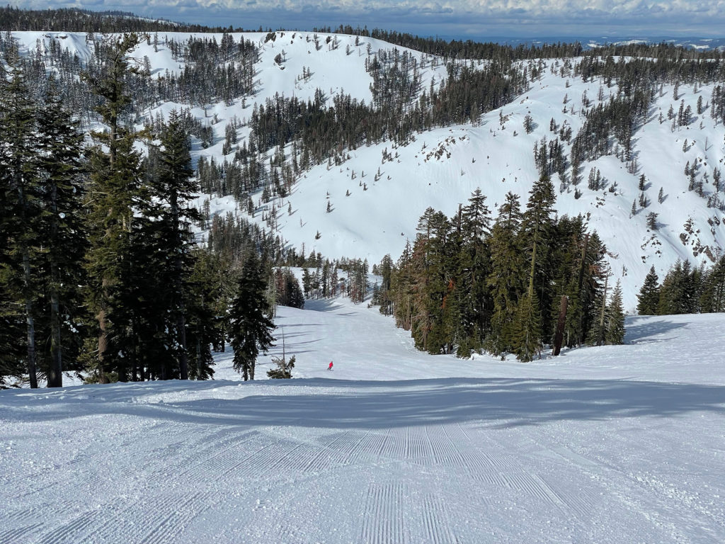 "Shady Grove" off the Polar Express chair at Bear Valley, March 2024