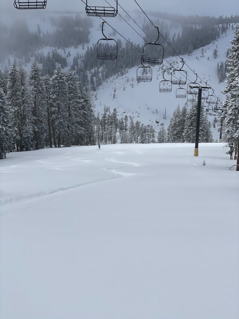 Big John at Bear Valley, March 2024