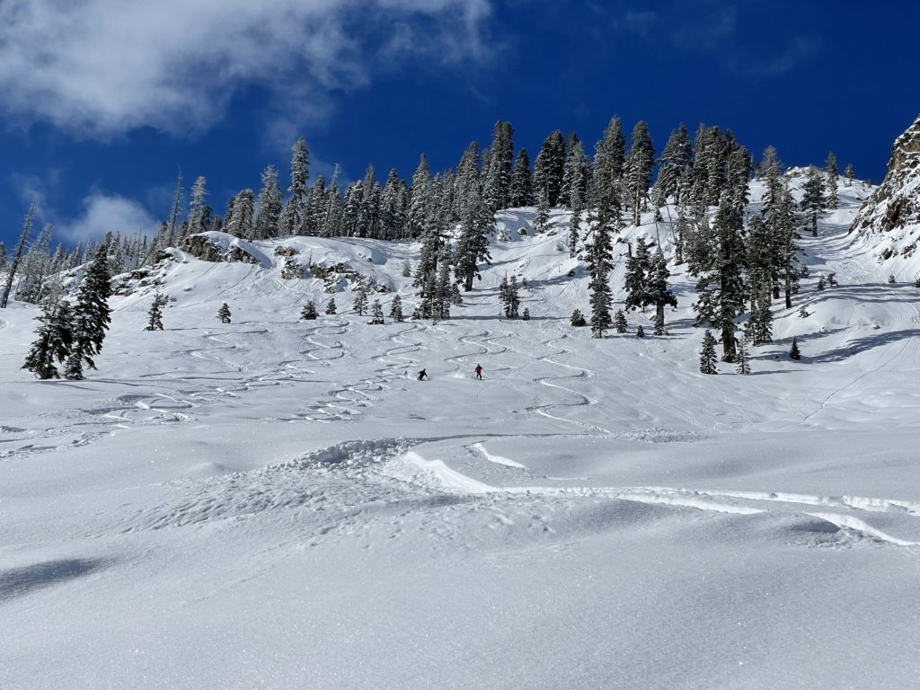 Strawberry Fields off of West Ridge at Bear Valley, April 2025